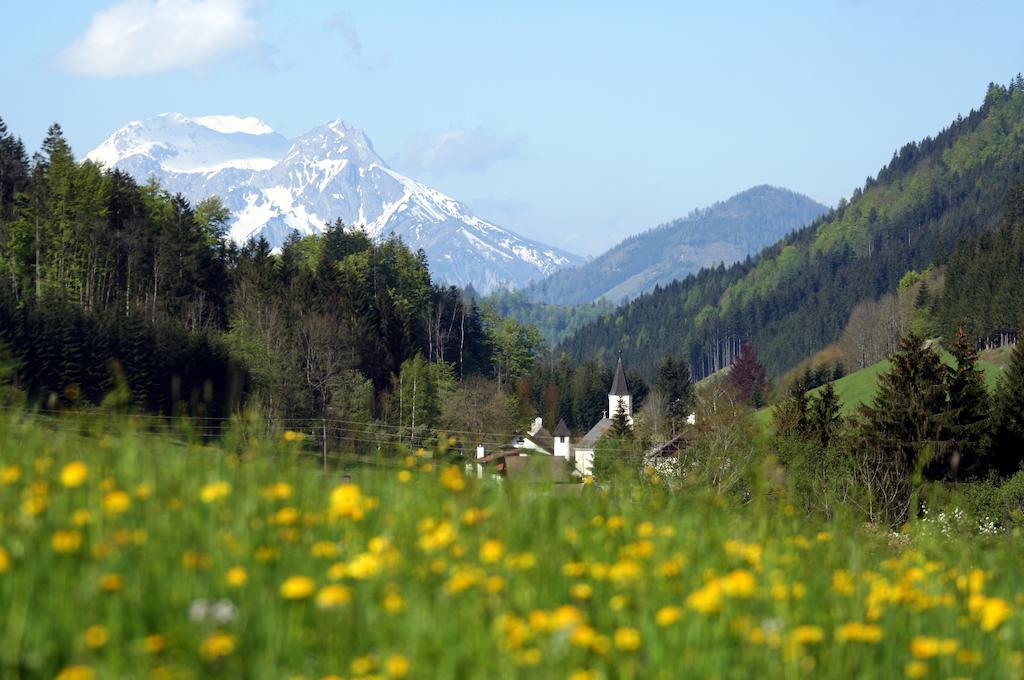 Alpenhotel Ensmann Lassing  Luaran gambar