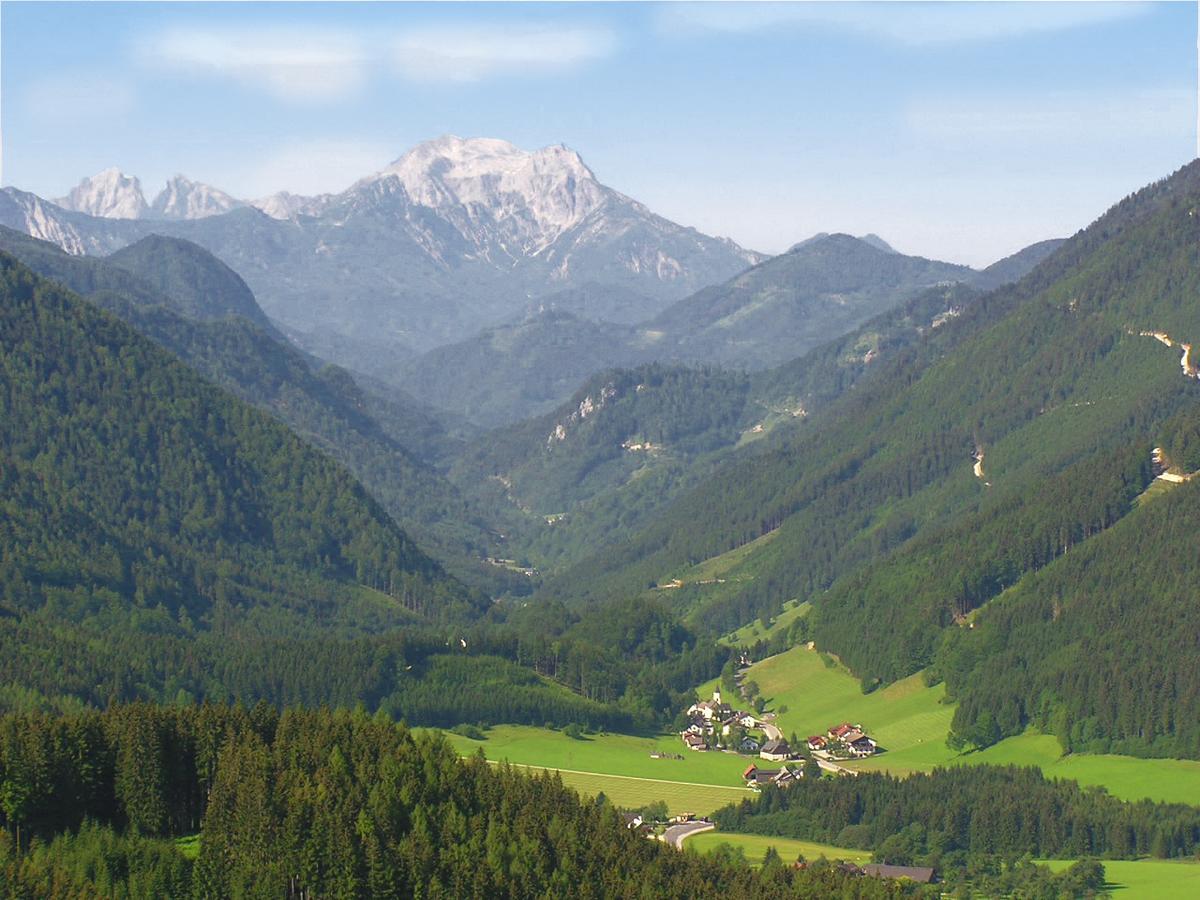 Alpenhotel Ensmann Lassing  Luaran gambar